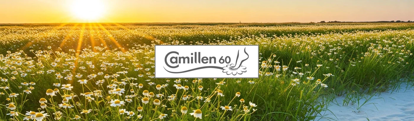 Camillen 60 Fußpflegeprodukte im Webshop HautHandFuss